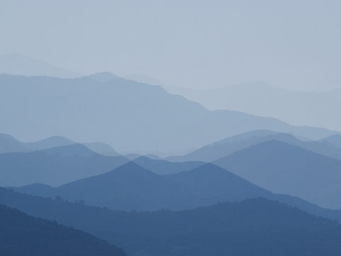 Dear aki still001 Dear aki still001